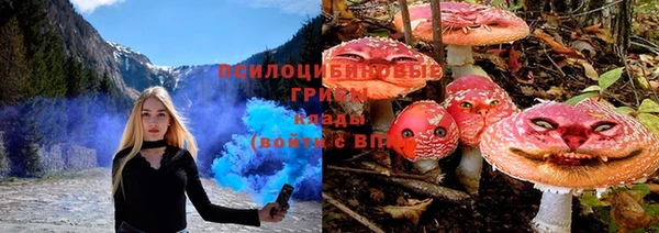 дурь Надым