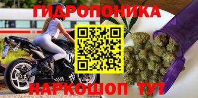 spice Волжск