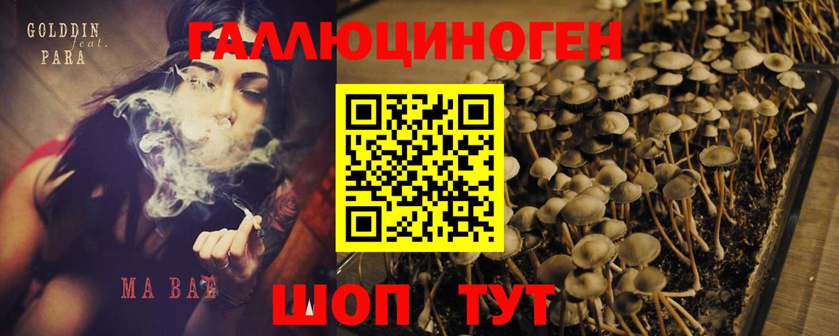 Лосино-Петровский  Псилоцибиновые грибы Magic Shrooms  где продают   Вход с VPN 
