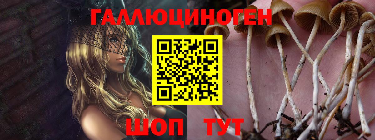 Галлюциногенные грибы MAGIC MUSHROOMS Лосино-Петровский
