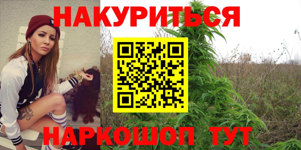 Лосино-Петровский  Шишки марихуана сатива  Бошки Шишки ГИДРОПОН  Вход с VPN  МАРИХУАНА планчик 